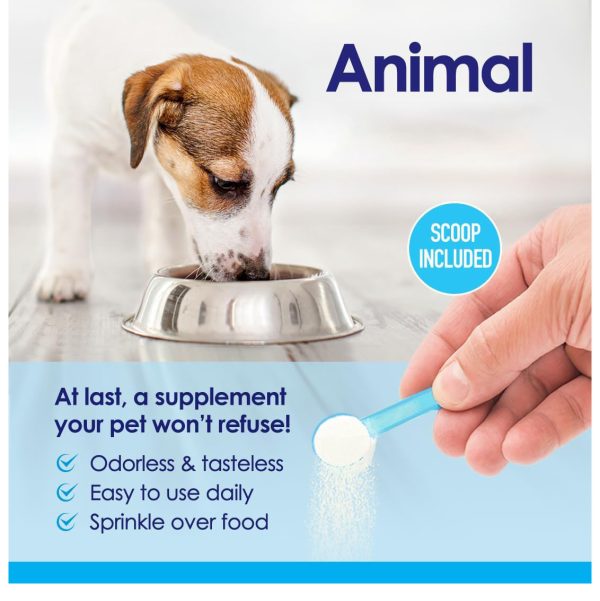 oral care powder for dogs - Image 4