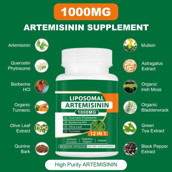 Artemisinin capsules - Image 3
