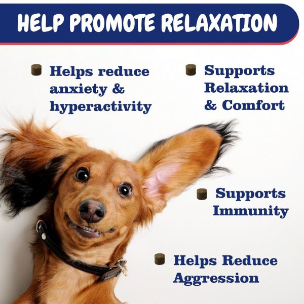 Pet Allergy Chewable Tablets - Image 3