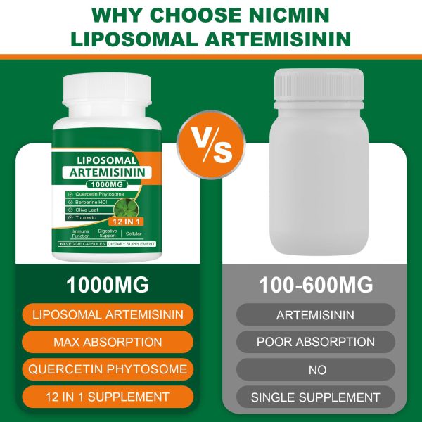 Artemisinin capsules - Image 5