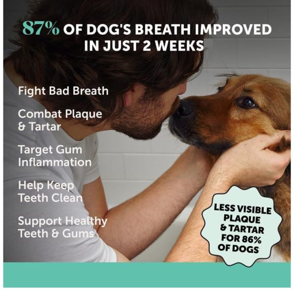Dog Teeth Cleaning Oral Freshness Powder - Image 2