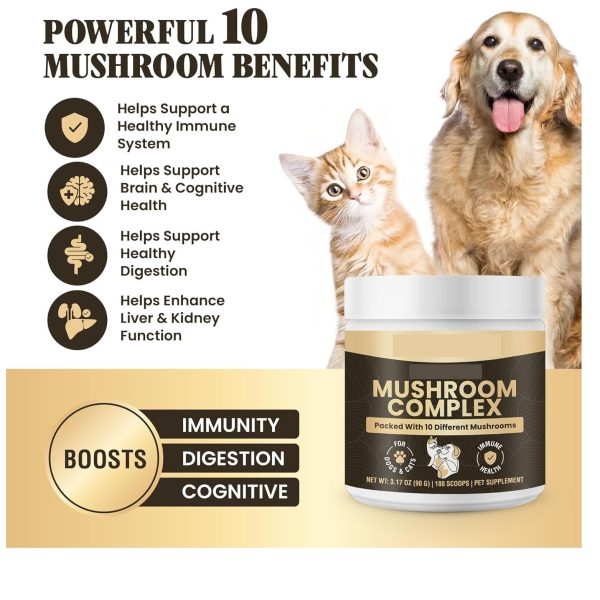 Pet Health Energy Powder - Image 5