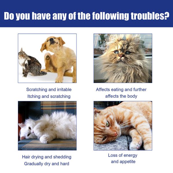 Pet external insecticide spray - Image 2