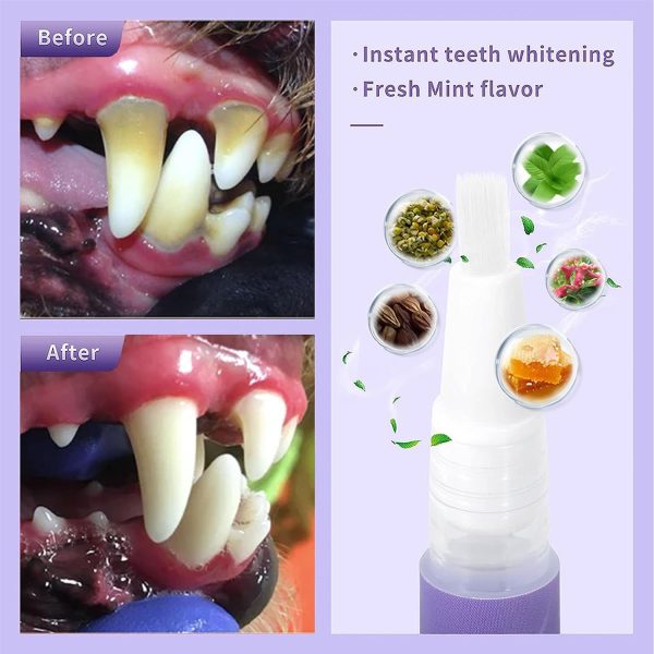 Gel for Pet Oral Repair - Image 3