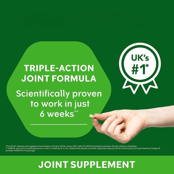 Pet joint supplements - Image 4