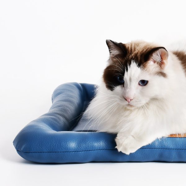 High end leather cat pad - Image 2
