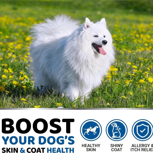 Pure fish oil for pets - Image 2
