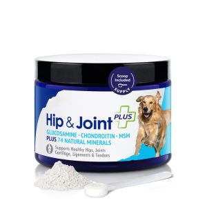 oral care powder for dogs
