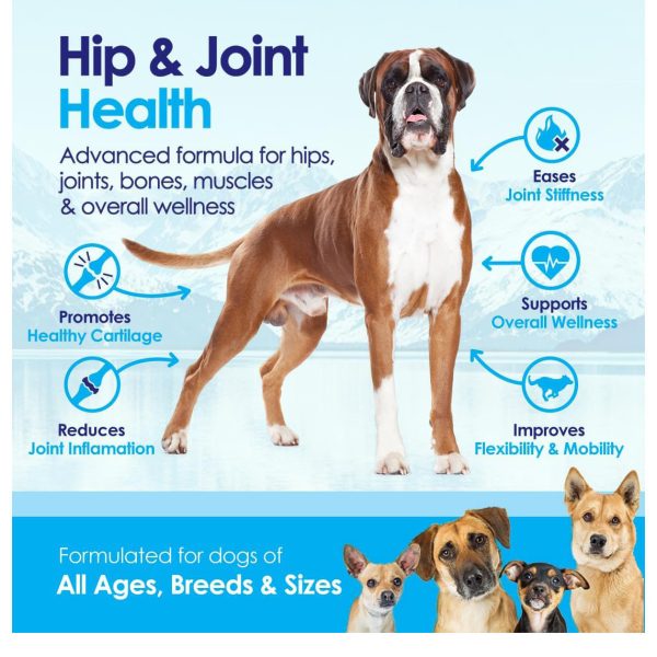 oral care powder for dogs - Image 5