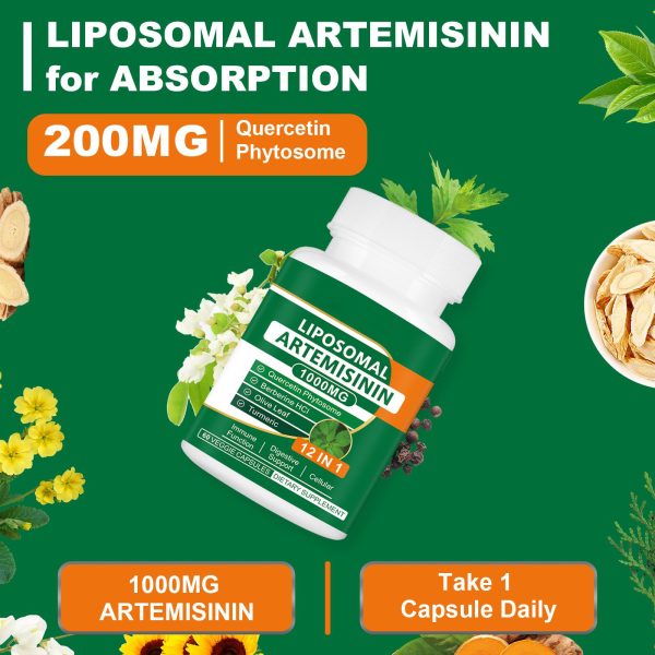 Artemisinin capsules