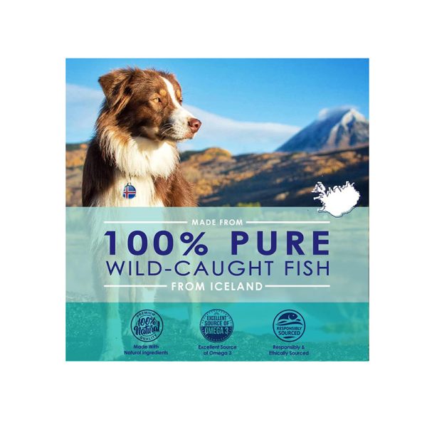 Pet Fish Oil Capsules - Image 4