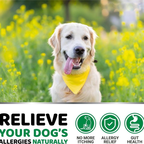 Pet Allergy Chewable Tablets - Image 3