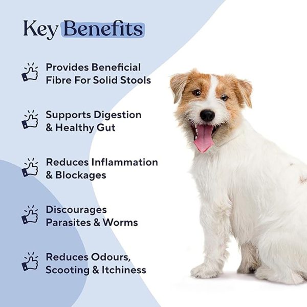 Anal gland chewable tablets - Image 4