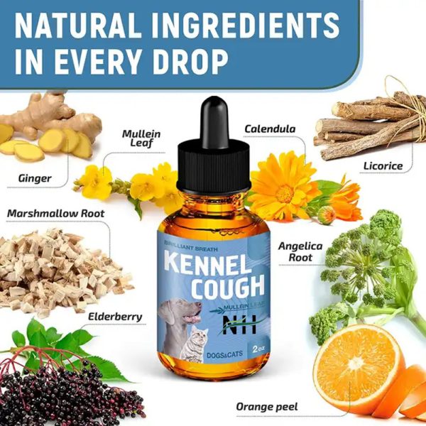Cough allergy health products - Image 3