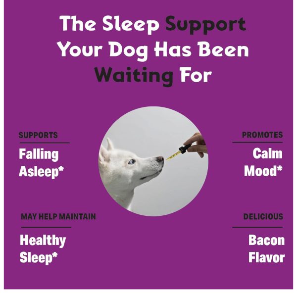 Liquid Collagen for Dogs - Image 2
