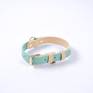 Pet collar mint green