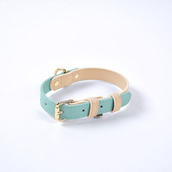 Pet collar mint green