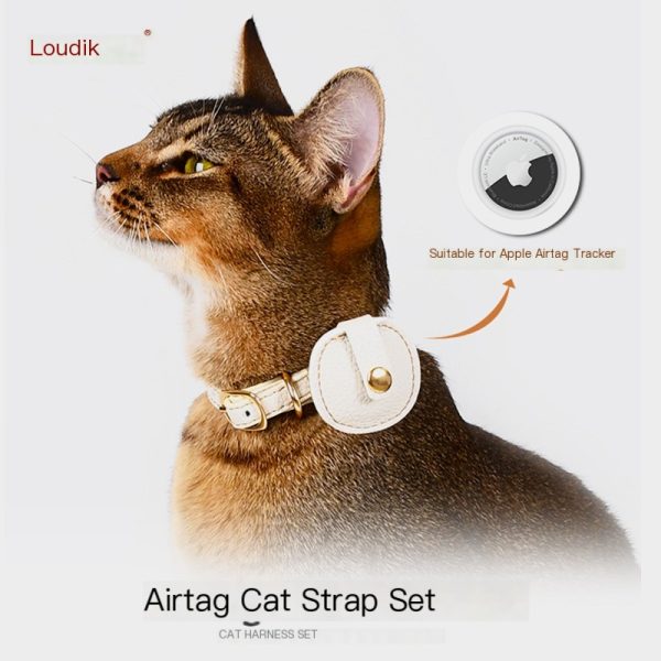 Cat collar
