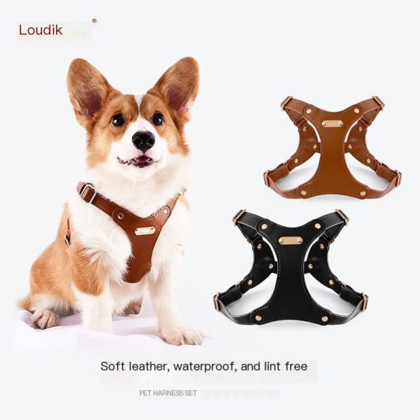 Pet Harness - Image 3