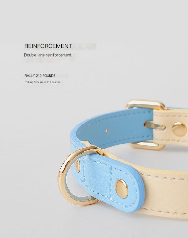 Pet collar mint green - Image 5