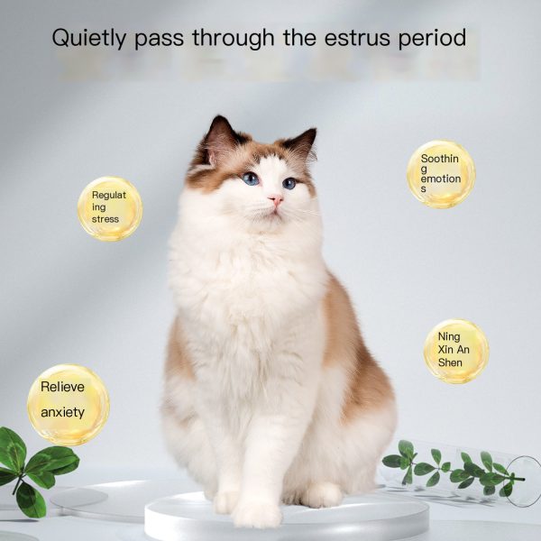 Cat safety film - Image 4